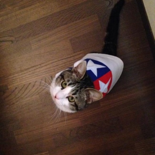 Little dudeのカバー写真