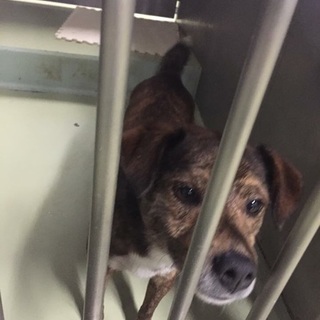 優しい目をしたかわいい男の子