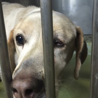 片目が不自由だけど優しい男の子