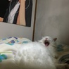 ねむぼくちゃん