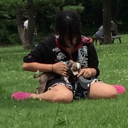 「家族動物との出会い③ ロッティ編」サムネイル2