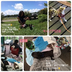 「家族動物との出会い③ ロッティ編」サムネイル3