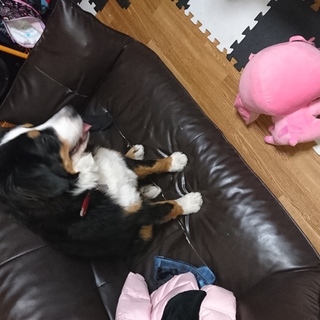 募集は終了します。日程調整に入ります。