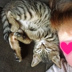 これは一緒に寝れてるのか⁉︎（笑）