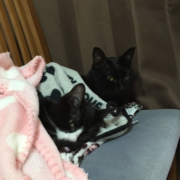 仲良くなります、