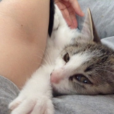 駆け足で旅だった優しいティルちゃん♪