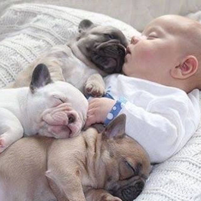 momo♪のカバー写真