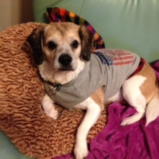 いまりちゃん、のんびりします。