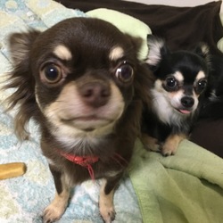 はじめまして