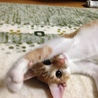 の写真