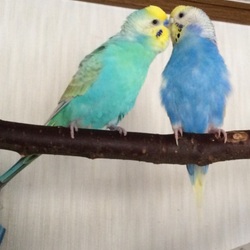 「ん？」サムネイル1