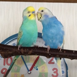 「ん？」サムネイル2