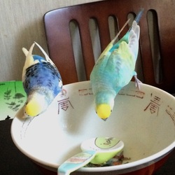 「ん？」サムネイル3