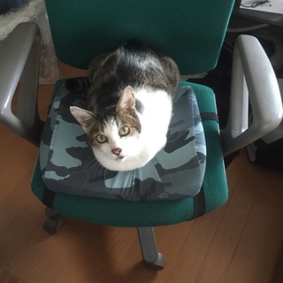 よろしくお願いします！