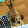 上目づかい