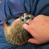 の写真