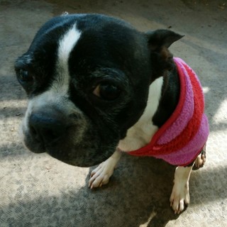 ありがとうございました。