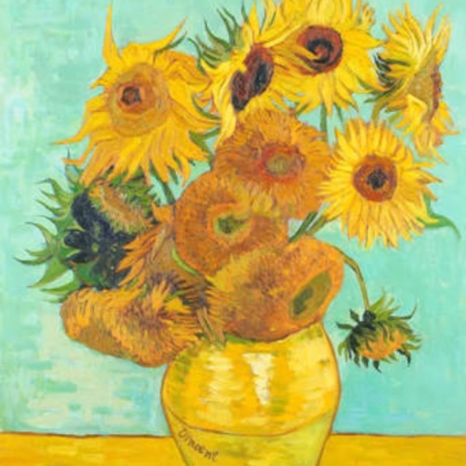 まめ太のカバー写真