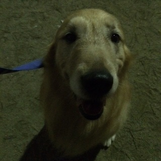 沢山の問い合わせありがとうございました