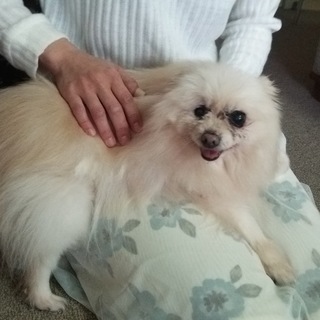 シニアの方におすすめミクちゃん❗