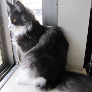 応募者多数のため募集終了します