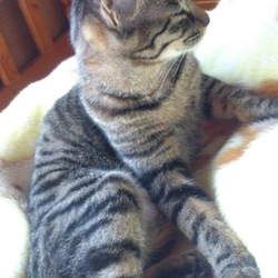 半熟たまご、とりました！