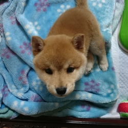 空が我が家にやってきた！