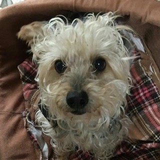 ご縁を探しています