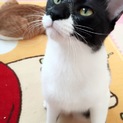 １歳なりたて甘えん坊で元気な男の子
