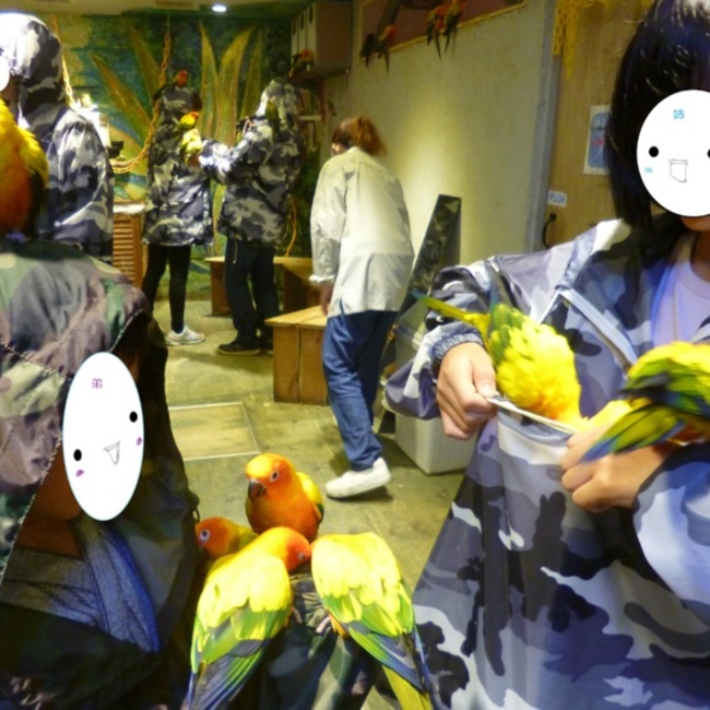 てくんのカバー写真