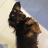 カメラ向けたらポーズ