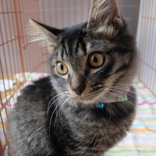 笑いを運ぶ天然君❤