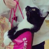  さん