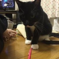 るな