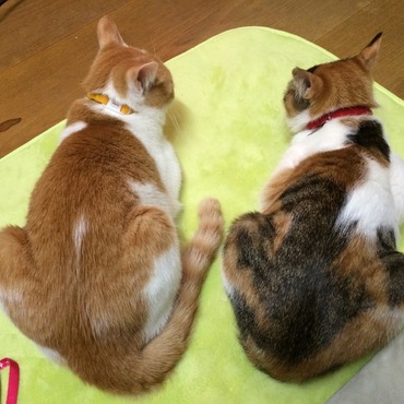 はるかの写真