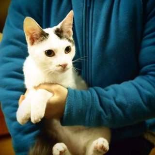 代理掲載・たける君