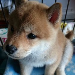 「すべてに全力」サムネイル2