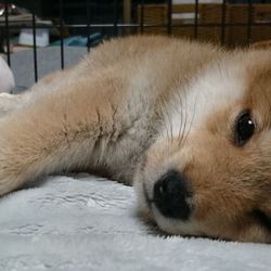 「すべてに全力」サムネイル3