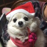 まろひじきひめママ