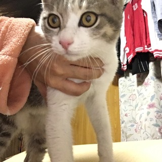 無事決まりました!!