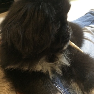 顔ぺたんこww