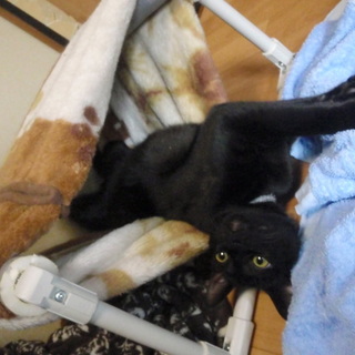 あまえんぼのやんんちゃっ子☆康太☆