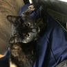 りょた。
