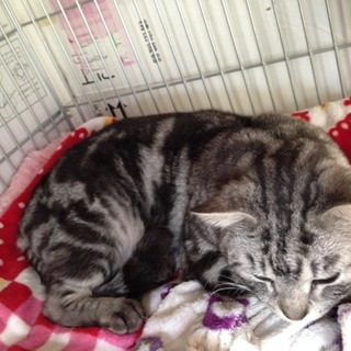 【多数のご応募ありがとうございました】