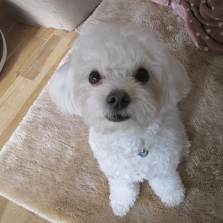 沢山のご応募、本当にありがとうございました。