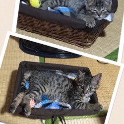 こんなに大きくなりました♪