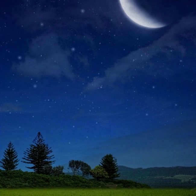 みつば♪のカバー写真