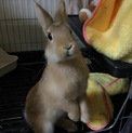 たくさんの応募ありがとうございます！