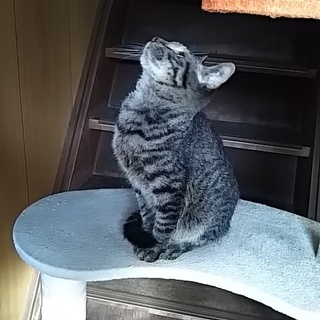 灰に成る為に産まれて来た訳では在りません！