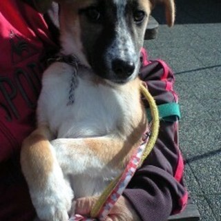 少しビビりな女の子